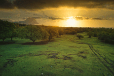Découvrir l&rsquo;île maurice – les sports
