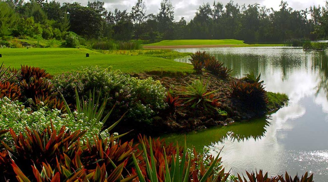 Tripadvisor récompense l’Île Aux Cerfs Golf Club