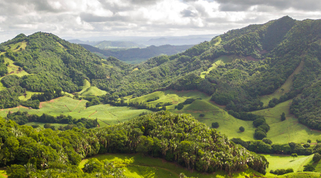 Vallée de Ferney, réserve naturelle à la biodiversité unique